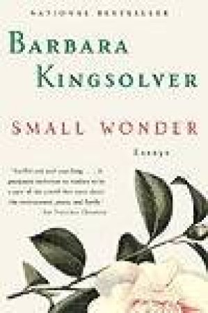 Small Wonder - Cassette by Barbara Kingsolver