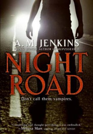 Night Road by A M Jenkins