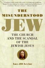 The Misunderstood Jew The Church And The Scandal Of The Jewish Jesus