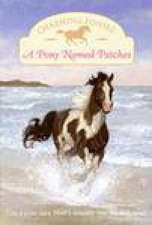 Charming Ponies: A Pony Named Patches by Lois K Szymanski