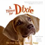 A Home For Dixie