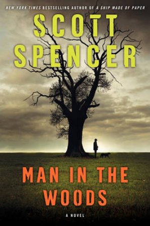 Man in the Woods by Scott Spencer