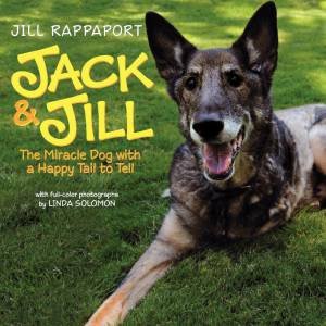 Jack and Jill: The Miracle Dog with a Happy Tail to Tell by Jill Rappaport