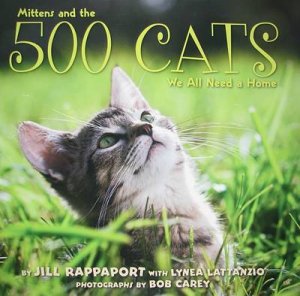 500 Cats by Jill Rappaport & Lynea Lattanzio