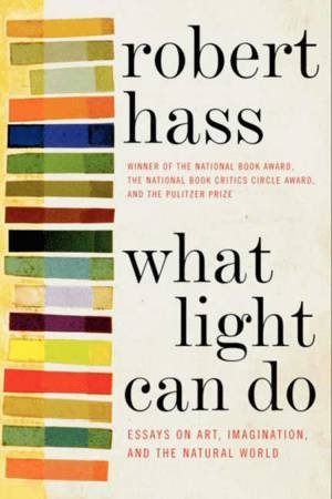 What Light Can Do: Essays on Art, Imagination, and the Natural World by Robert Hass