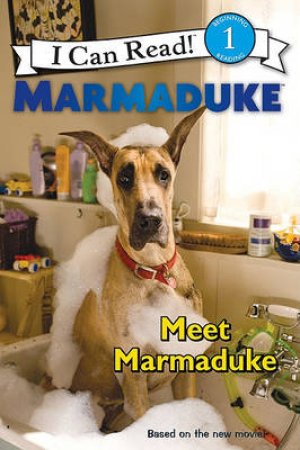 Marmaduke: Meet Marmaduke by Kirsten Mayer