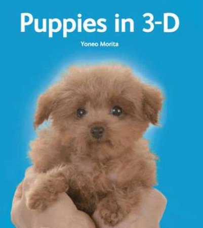 Puppies in 3-D by Yoneo Morita