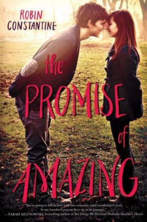 The Promise Of Amazing by Robin Constantine