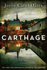 Carthage A Novel Large Print