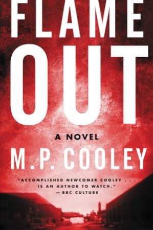 Flame Out: A Novel by M. P. Cooley