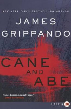 Cane and Abe [Large Print] by James Grippando