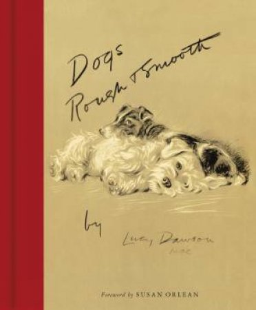 Dogs Rough And Smooth by Lucy Dawson