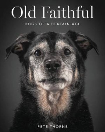 Old Faithful: Dogs Of A Certain Age by Pete Thorne