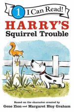 Harrys Squirrel Trouble