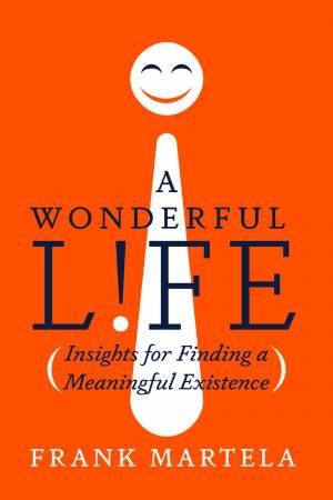 A Wonderful Life: Insights On Finding A Meaningful Existence by Frank Martela