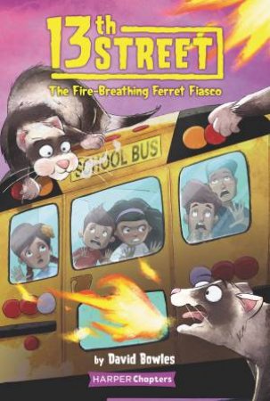 The Fire-Breathing Ferret Fiasco by David Bowles & Shane Clester