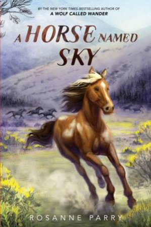 A Horse Named Sky by Rosanne Parry & Kirbi Fagan