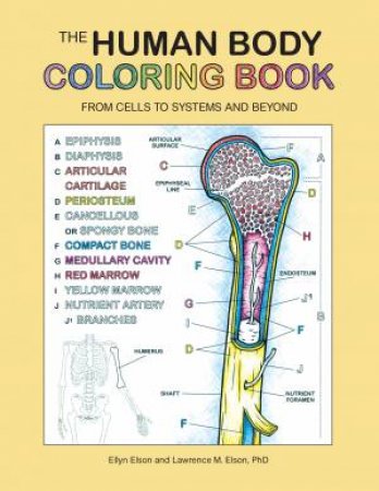 The Human Body Coloring Book: From Cells To Systems And Beyond by Various