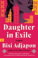 Daughter In Exile A Novel