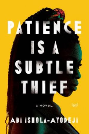 Patience Is A Subtle Thief by Abi Ishola-Ayodeji