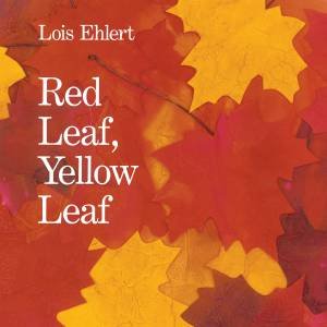 Red Leaf, Yellow Leaf by Lois Ehlert