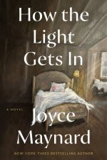 How The Light Gets In A Novel