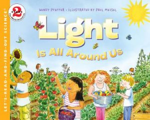 Light Is All Around Us by Wendy Pfeffer