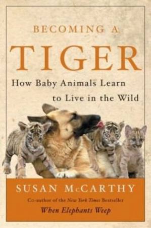 Becoming A Tiger: How Baby Animals Learn To Live In The Wild by Susan McCarthy