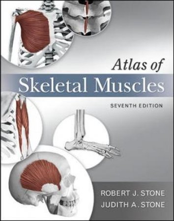 Atlas of Skeletal Muscles by Judith Stone