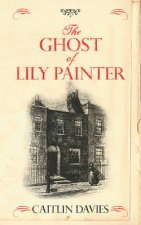 The Ghost Of Lily Painter