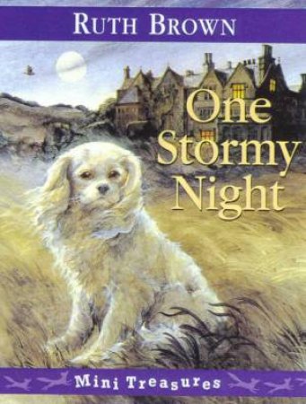 Red Fox Mini Treasures: One Stormy Night by Ruth Brown