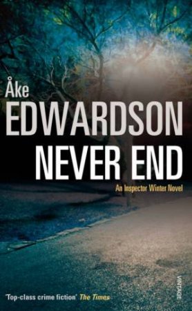 Never End by Ake Edwardson