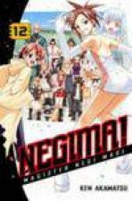 Negima Volume 12