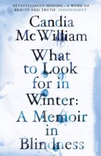 What To Look For In Winter A Memoir In Blindness