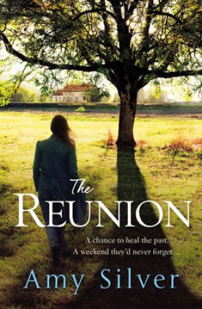 The Reunion by Amy Silver