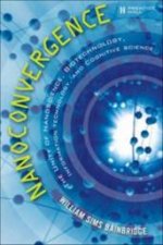 Nanoconvergence The Unity Of Nanoscience Biotechnology Information Technology And Cognitive Science