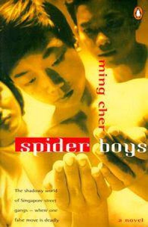 Spider Boys by Ming Cher