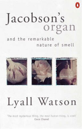 Jacobson's Organ And the Remarkable Nature Of Smell by Lyall Watson