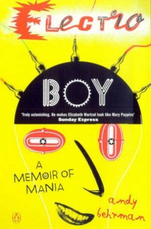 Electroboy: A Memoir Of Mania by Andy Behrman