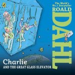 Charlie and the Great Glass Elevator