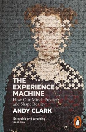 The Experience Machine by Andy Clark