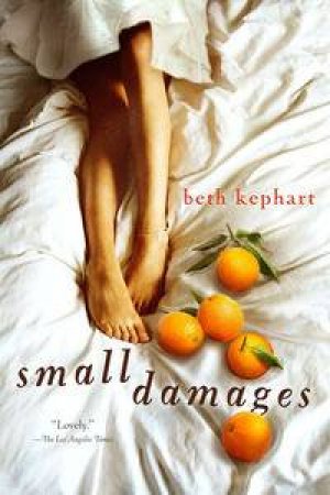 Small Damages by Beth Kephart