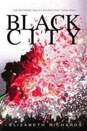 Black City: Black City Book 1 by Elizabeth Richards