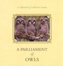 A Parliament Of Owls