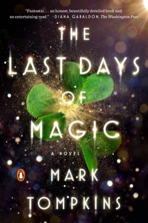 Last Days Of Magic by Mark Tompkins