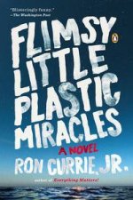 Flimsy Little Plastic Miracles A Novel