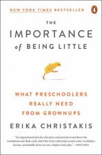 The Importance Of Being Little What Preschoolers Really Need From Grownups