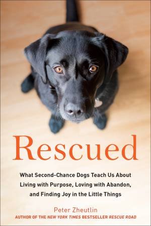 Rescued: What Second-Chance Dogs Teach Us About Living With Purpose, Loving With Abandon, And Finding Joy In The Little Things by Peter Zheutlin