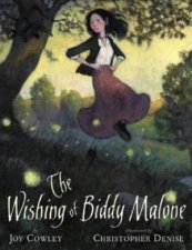 The Wishing Of Biddy Malone