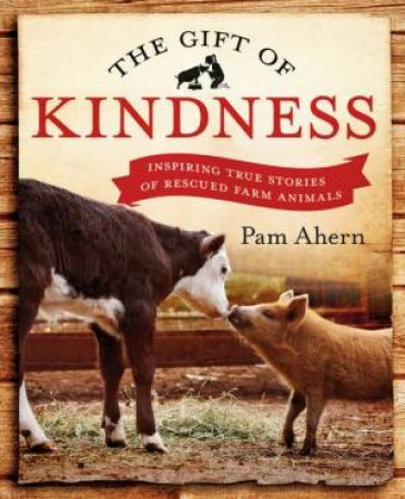 Gift of Kindness by Pam Ahern